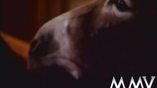 MMVFILMS - Mature bitch sucking cock
