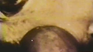 Peepshow Loops 347 1970s - Scene 1