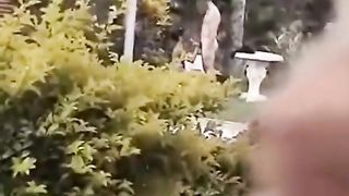 Fucking a brunette in bikini at the pool