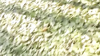 Hot outdoor fuck in the woods