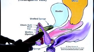SQUIRTING TUTORIAL #2 - How to Make Girl SQUIRT?