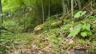 [Henry Tsukamoto] Summer of Reiwa Japan (Japan) Sex crime history "Married woman who has a weakness"