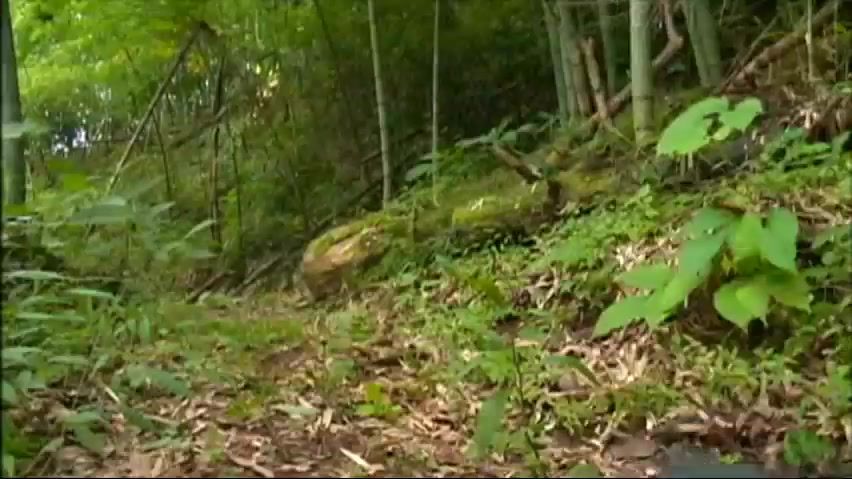 [Henry Tsukamoto] Summer of Reiwa Japan (Japan) Sex crime history "Married woman who has a weakness"