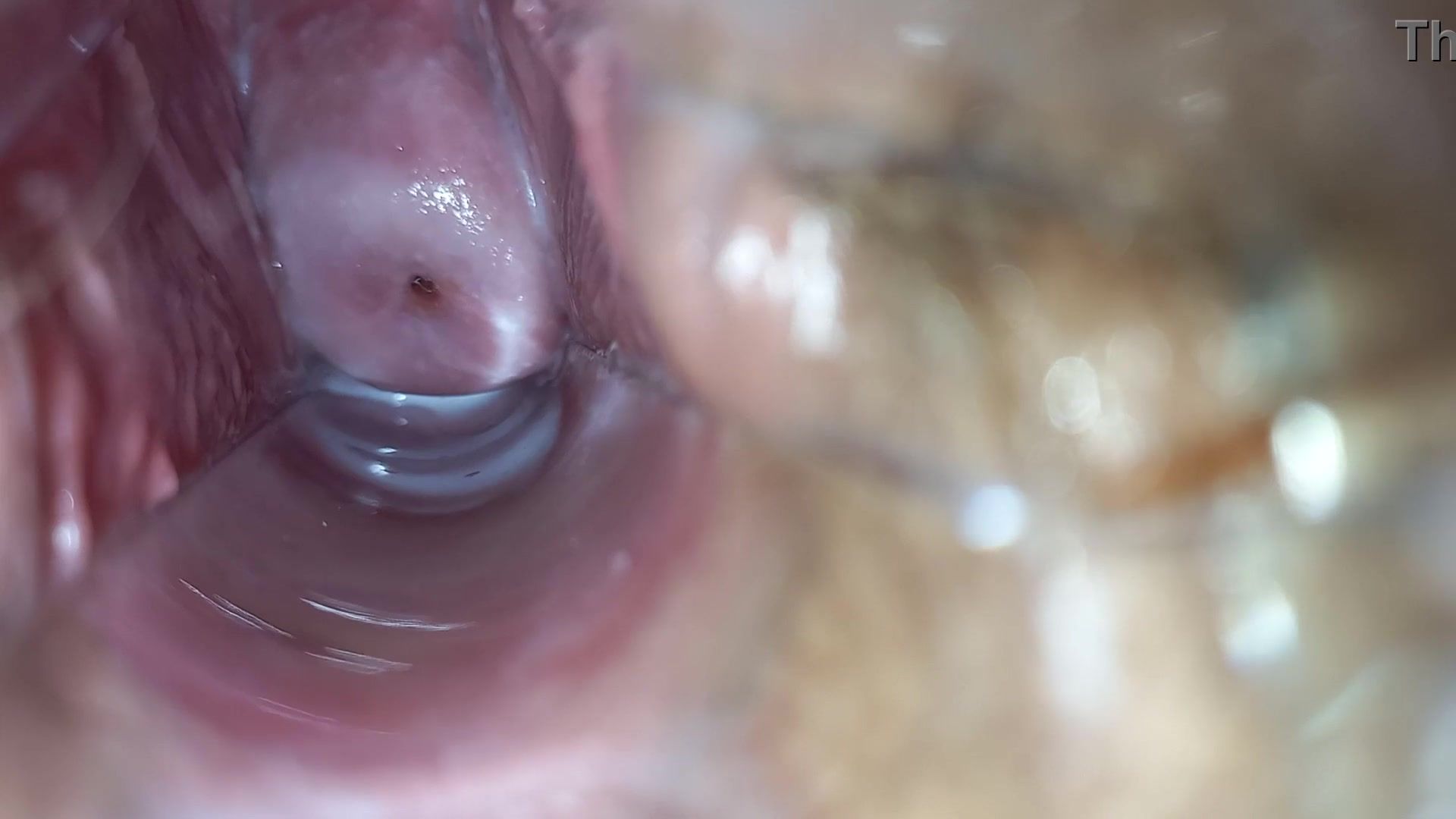 Pulsating orgasm inside pussy