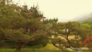 Hyun-Jin Park - Natali (2010)