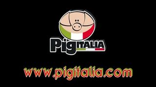 PIG TELEVISION ! ITALIA