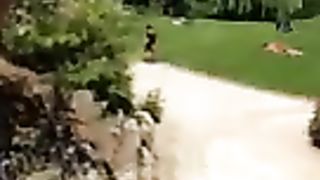 Slutty MILF compilation filmed with a smartphone on MySexMobile