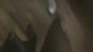 black_guy_fuckin_with_the_mailwoman-1.flv