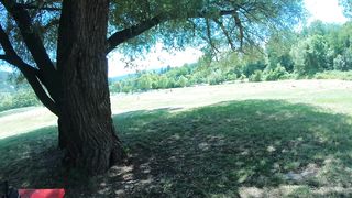 Sunday Picnic went to PUBLIC ANAL and BJ in front of people