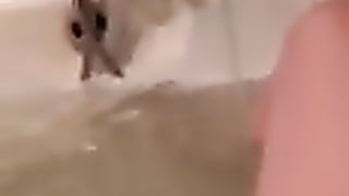 Periscope hot Girl masturbates while showering