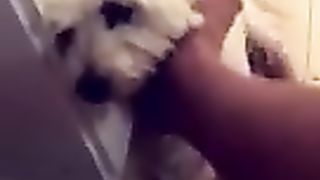 OMG!I wish i was this dog: