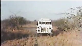 Huge African Mens Penises