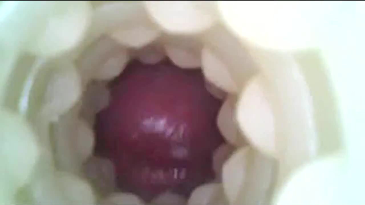 Sister Brother Cum Inside