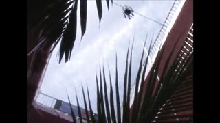 gorgeous milfs having public sex at the resort