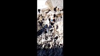 Tugas apanahdos 17